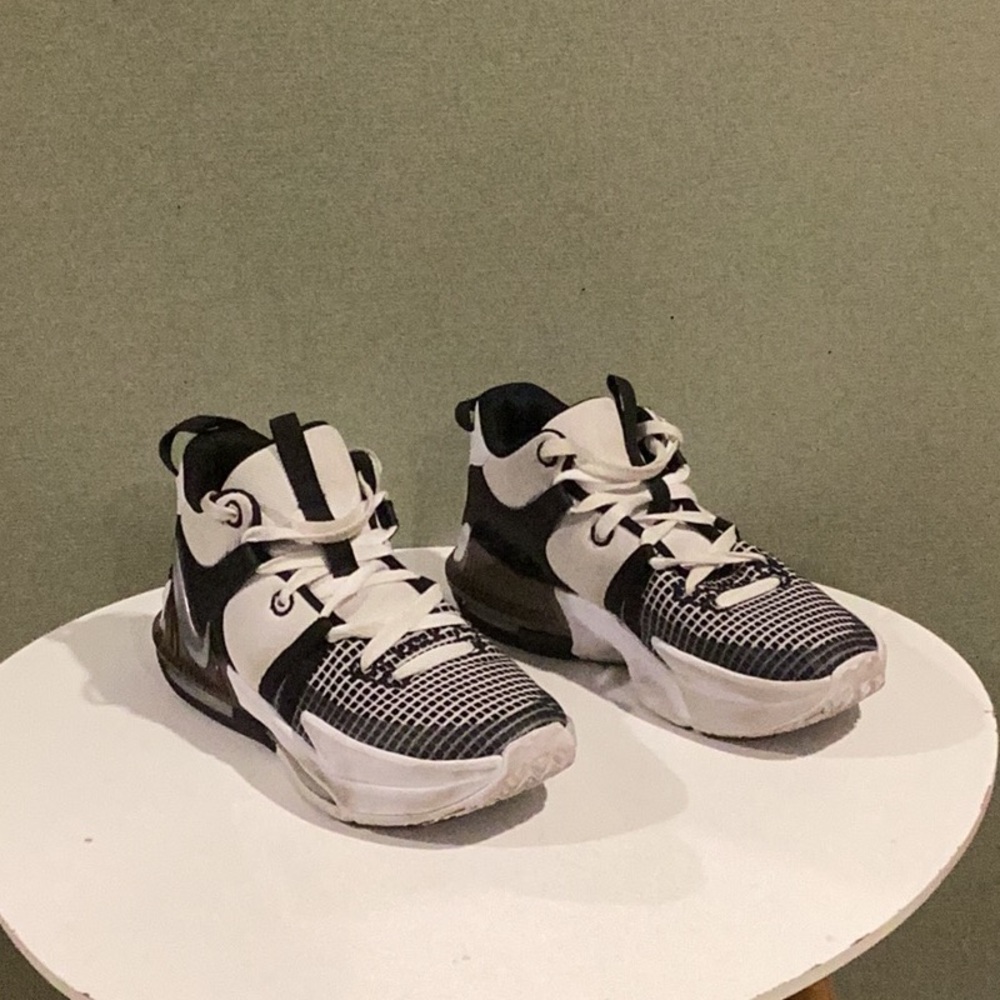 Nike Lebron Witness VII
